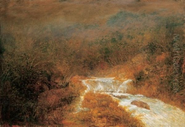 Erdoreszlet Patakkal (forest Sceen With A Brook) Oil Painting by Laszlo Mednyanszky