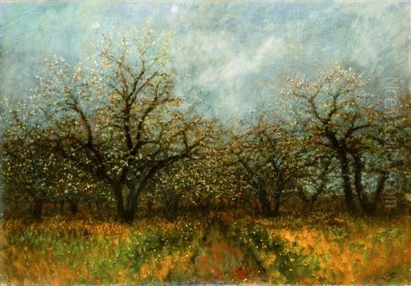 Viragzo Fak (blooming Trees) Oil Painting by Laszlo Mednyanszky