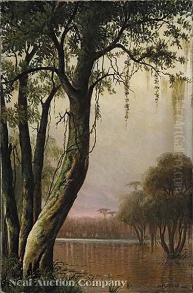 Cypress On The Bayou Oil Painting by Joseph Rusling Meeker