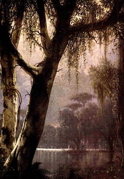 Bayou Near A Lake Oil Painting by Joseph Rusling Meeker