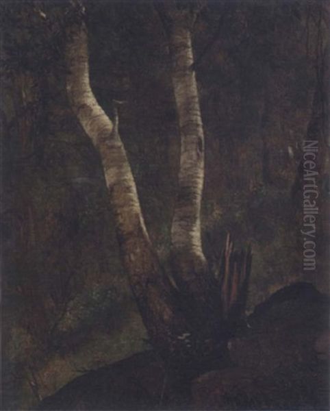 Birches On Lake Pepin Oil Painting by Joseph Rusling Meeker