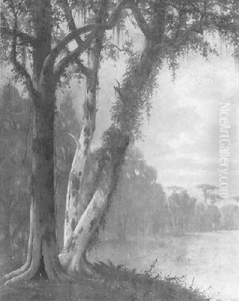 Southern Bayou Oil Painting by Joseph Rusling Meeker