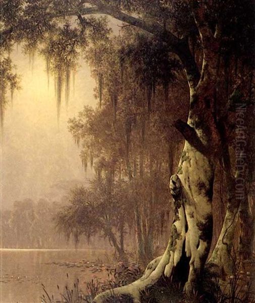 Cypress Swamp Near The Teche, Louisiana by Joseph Rusling Meeker