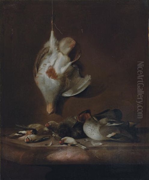 A Still Life With A Partridge Hanging On A Wall, And A Teal, A Yellowhammer, Finches And Other Birds Oil Painting by Barend van der Meer