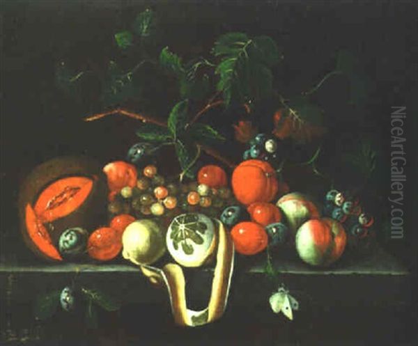 Still Life Of Fruits On A Stone Ledge Oil Painting by Barend van der Meer