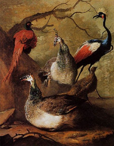 A Peacock, A Peahen A Crane And A Pheasant In A Wooded Landscape Oil Painting by Abraham van Meertens