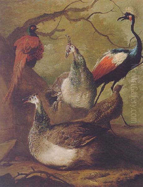 A Wooded Landscape With Peacock, Peahen, Crane And A Pheasant Oil Painting by Abraham van Meertens