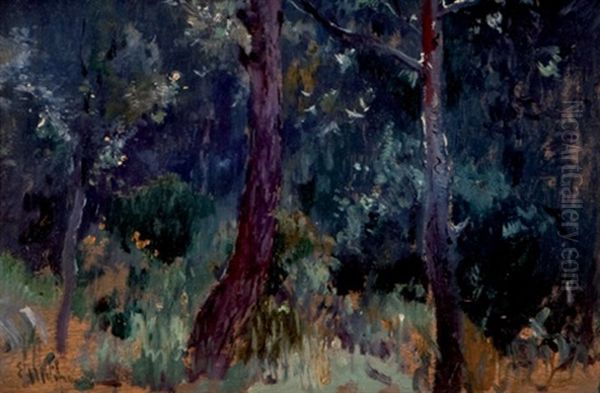 Paisaje Nocturno Oil Painting by Eliseo Meifren y Roig