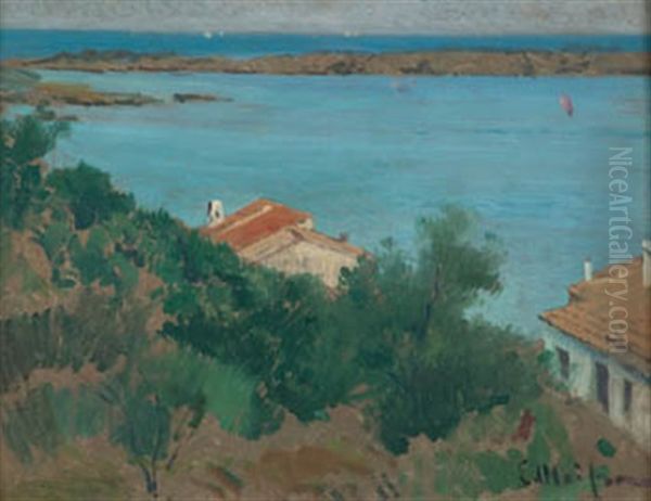 Port Llicat Oil Painting by Eliseo Meifren y Roig