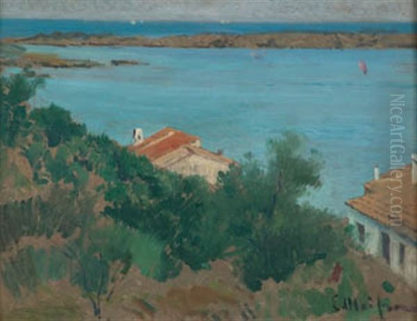 Port Llicat Oil Painting by Eliseo Meifren y Roig