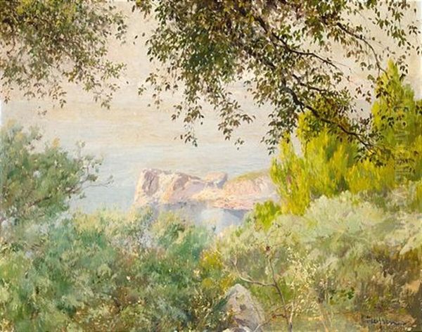 Vista De Mallorca Oil Painting by Eliseo Meifren y Roig