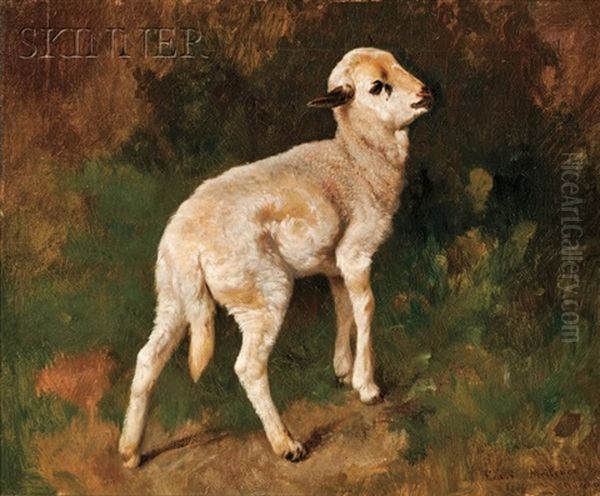 The Little Lamb by Adolf Ernst Meissner