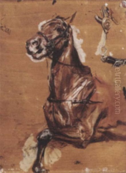 A Study Of A Bridled Horse Oil Painting by Ernest Meissonier