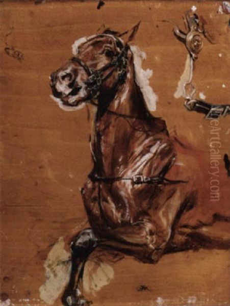 A Study Of A Bridled Horse Oil Painting by Ernest Meissonier