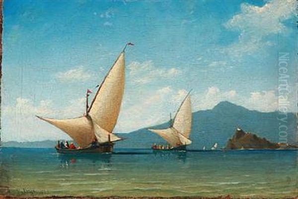 Summer Day With Sailing Ships On The Sea, Presuambly In The Bosporus Strait Oil Painting by Daniel Hermann Anton Melbye