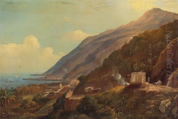 Vista De Caracas Oil Painting by Fritz Siegfried George Melbye