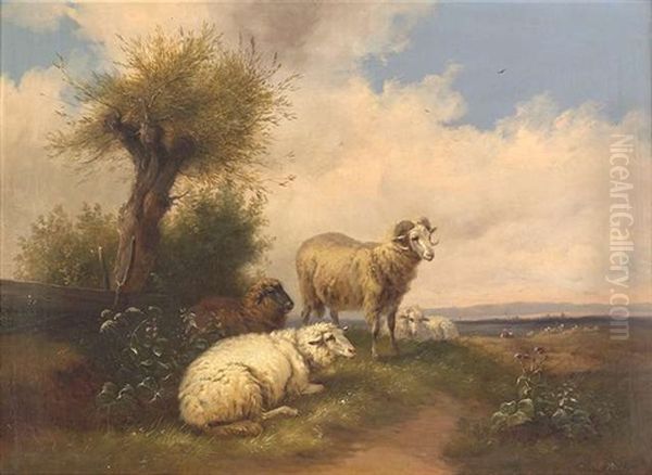 Schafe Auf Sommerlicher Weide Oil Painting by Wilhelm Melchior