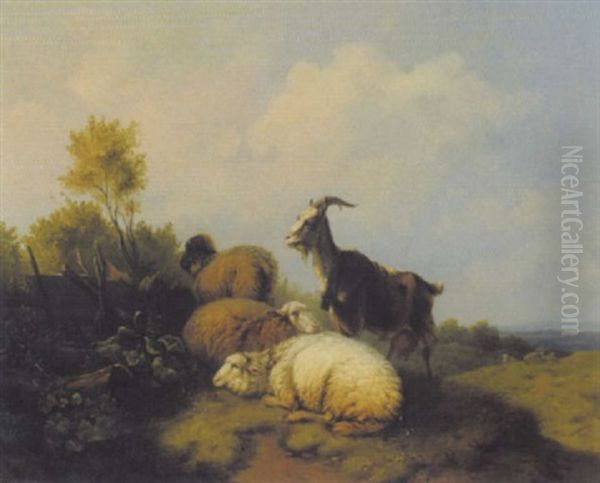 Schafe Und Ziege Auf Der Weide Oil Painting by Wilhelm Melchior