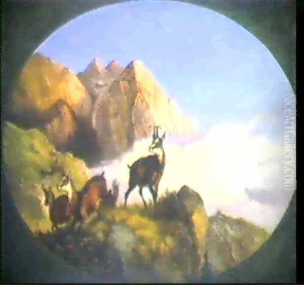 Gemsen Im Hochgebirge Oil Painting by Wilhelm Melchior