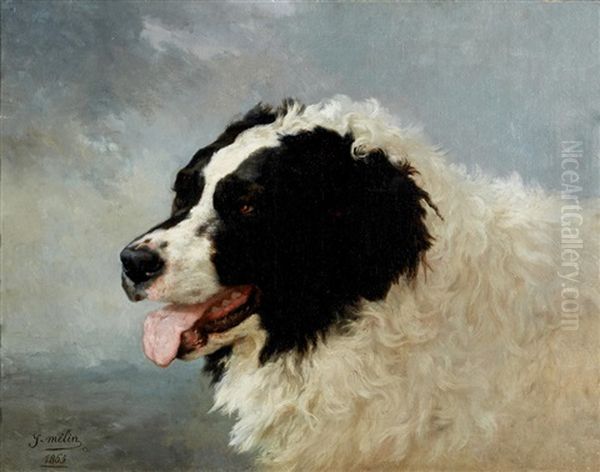 A Head Of A Landseer Newfoundland Oil Painting by Joseph Urbain Melin