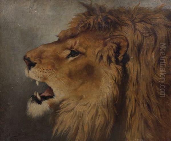 Tete De Lion Oil Painting by Joseph Urbain Melin