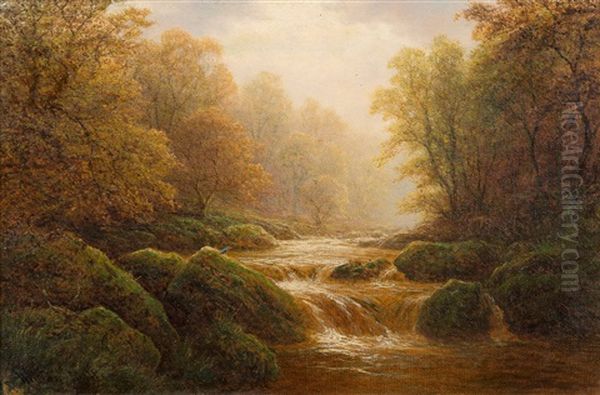 Padley Woods, Derbyshire by William Mellor