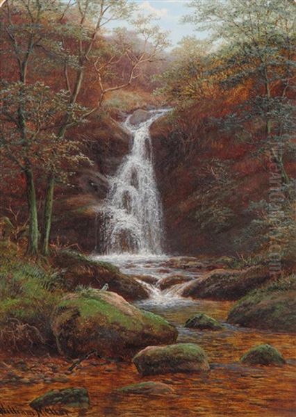 Fall On Posforth Ghyll, Bolton Woods, Yorkshire Oil Painting by William Mellor