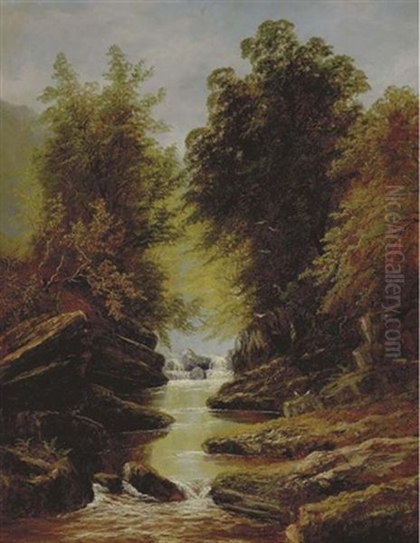 Wooded Forest With Stream Oil Painting by William Mellor