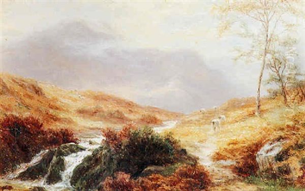 Mountain Stream, Near Capel Curig, North Wales Oil Painting by William Mellor