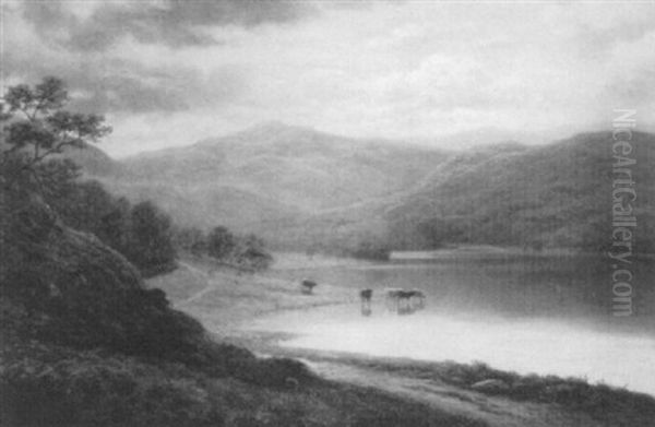 Thirlmere, Westmorland, Cattle Watering In Early Morning Sunlight Oil Painting by William Mellor