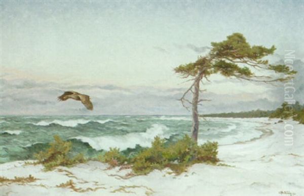 Kustlandskap Med Rovfagel Oil Painting by Rolf Mellstrom