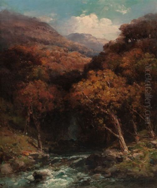 Forest Creek Bed Oil Painting by Andrew Melrose