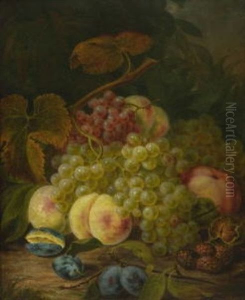 Stillleben Mit Weintrauben, Pflaumen, Pfirsichen, Walnussen Und Brombeeren Oil Painting by Franz Mendel