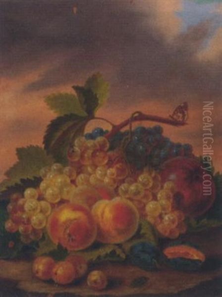 Bunches Of Grapes, Peaches, Plums, Gooseberries And Insects On A Mossy Bank Oil Painting by Franz Mendel