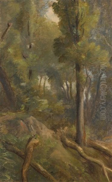 Waldstudie Oil Painting by Barthelemy Menn