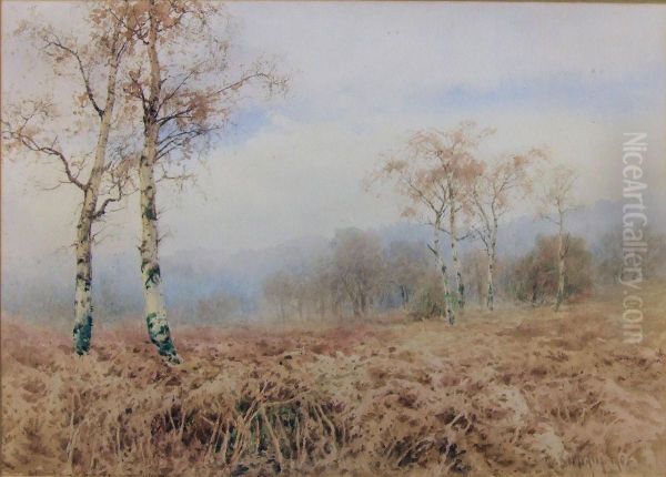 Heathland View With Bracken And Silver Birch Trees Oil Painting by Paul Bertram