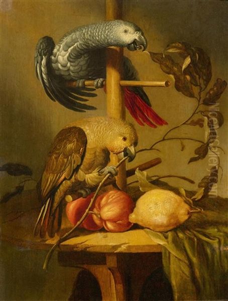 A Still Life With Parrots And Fruit Oil Painting by Jacob Frans van der Merck