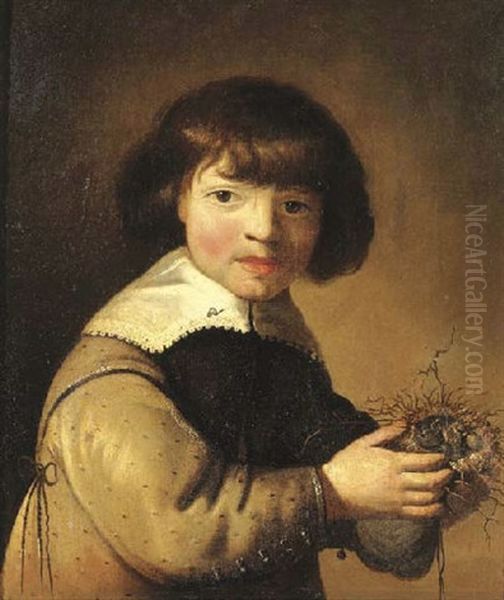 Portrait Of A Young Boy In A Green Smock, Holding A Bird's Nest Oil Painting by Jacob Frans van der Merck