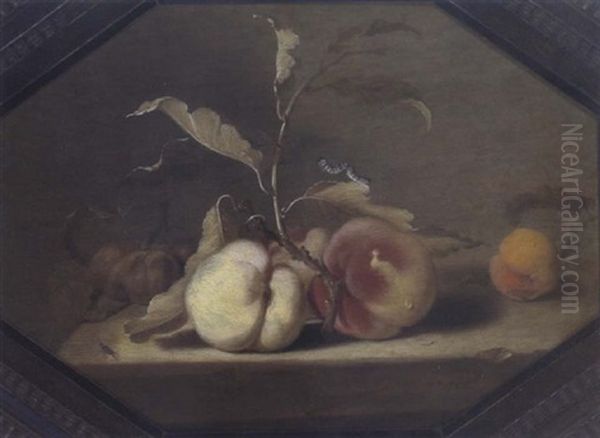 Stilleben Mit Pfirschen Und Marillen (aprikosen) Oil Painting by Jacob Frans van der Merck