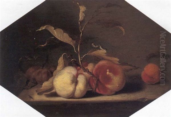 A Still Life Of Peaches, Plums And One Apricot Arranged Upon A Stone Ledge Oil Painting by Jacob Frans van der Merck