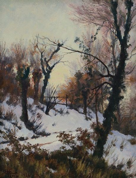 Paesaggio Innevato Oil Painting by Camillo Merlo