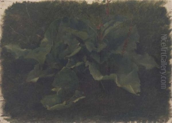 Studies Of Acanthus Leaves Oil Painting by Luc-Olivier Merson