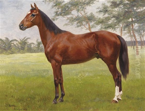 Stolzer Hengst Oil Painting by Oscar Merte