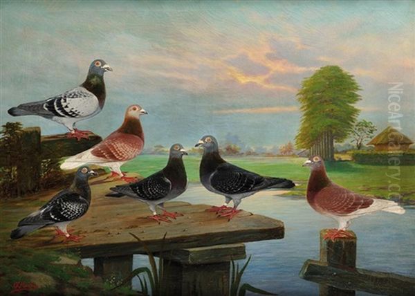 Les Pigeons Oil Painting by Charles Mertens