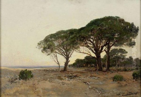 Grands Arbres Pres De La Mer Oil Painting by Paulin Bertrand