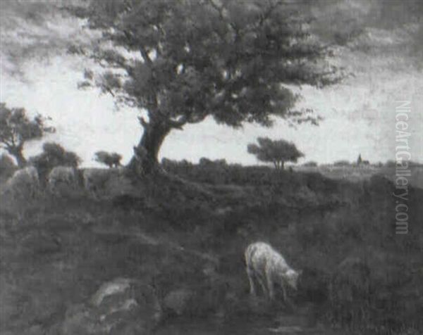 Sheep Grazing At Sunset Oil Painting by Taco Mesdag