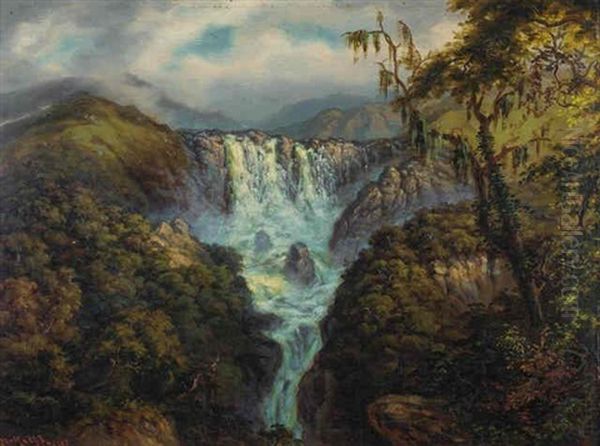 Los Chorros De Las Escabas En La Provincia De Tucuman Oil Painting by Adolf Methfessel