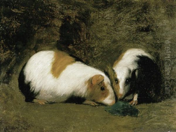 Twee Cavia's Oil Painting by Louis Mettling