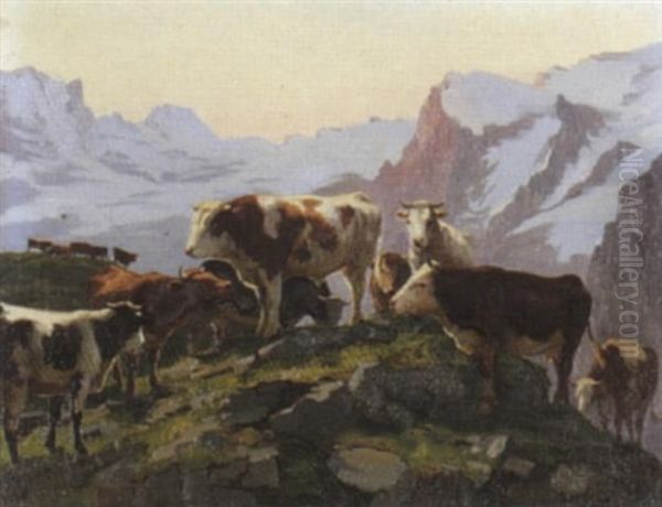 Kuhherde Auf Alp Bei Abendstimmung Oil Painting by Edouard-Louis-Auguste Metton