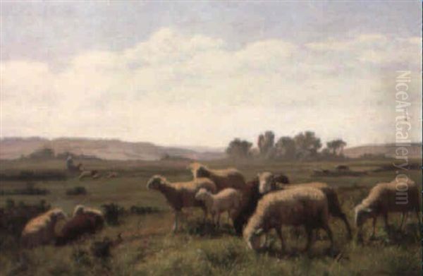 Weidende Schafe Oil Painting by Edouard-Louis-Auguste Metton